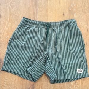 Brixton Green Striped Swim Trunks
